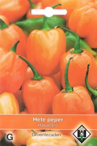 Peper Habanero oranje pepers