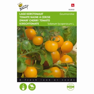 Tomaat  Kerstomaten, lage - GEEL - Gourmandise Yellow