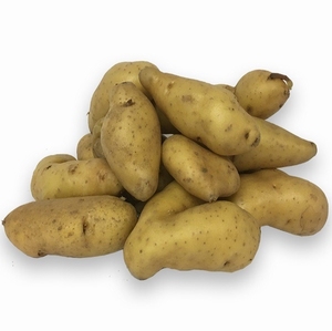 Ratjes Franse pootaardappel 'La Ratte d'ardeche'  (Ratte/Ratjes) 3kg  -  Tip