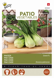 Paksoi - Pak Choi Green F1    Patio Veggie  -  NIEUW
