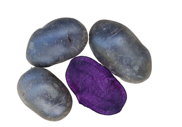 Bio pootaardappel    Vitanoire (paarse)  vroeg vastkoker  3 kg   -  Leverbaar eind februari 2026