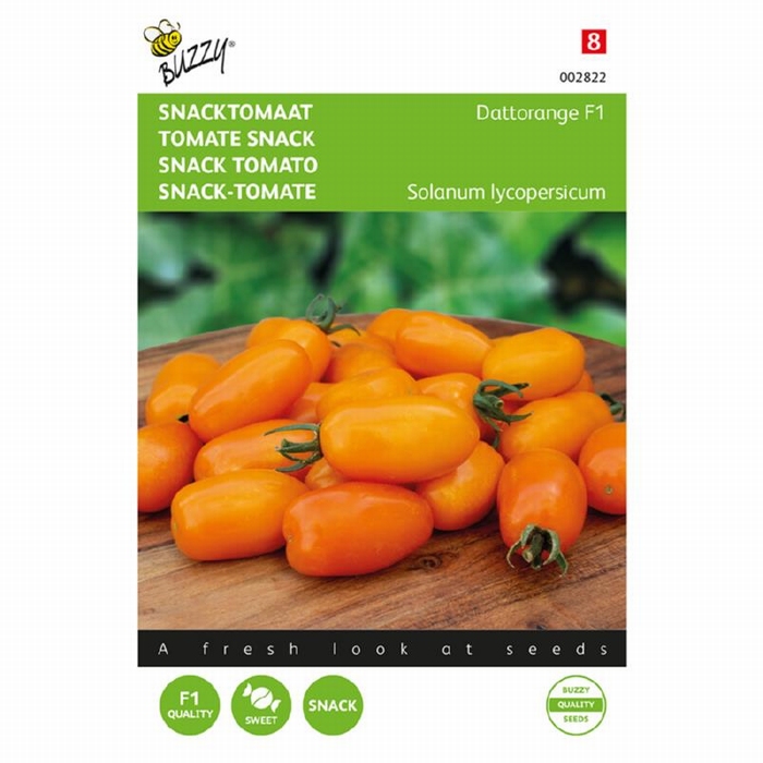 Tomaat - Snacktomaat Dattorange F1   - NIEUW