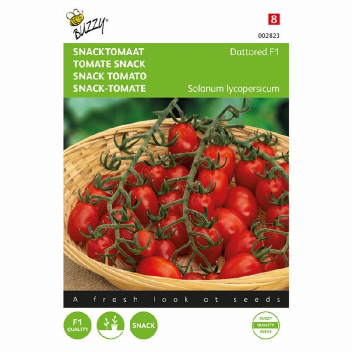 Tomaat - Snacktomaat Dattored F1   - NIEUW