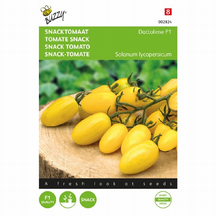 Tomaat -  Snacktomaat Dattolime F1   - NIEUW