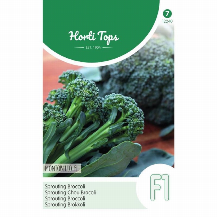 Broccoli Montobello F1    - NIEUW