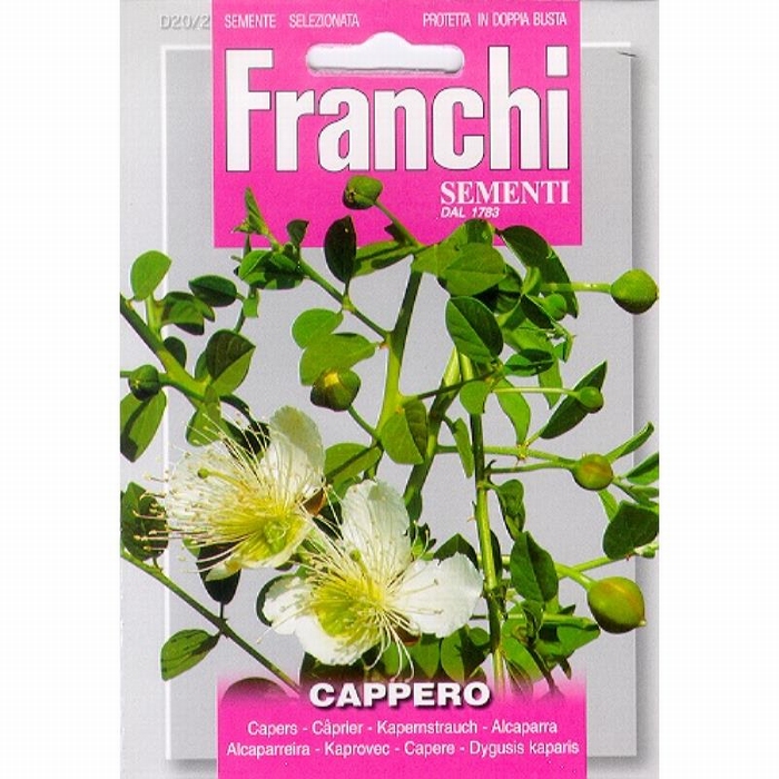Kappertjes, Cappero   (Capparis spinosa)  -  NIEUW