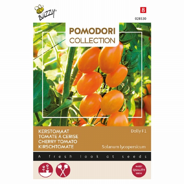 Tomaat Kerstomaat Dolly F1 - mini tomaten