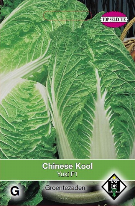 Chinese Kool Yuki F1, Zelfsluitend