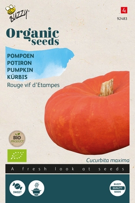 Organic Pompoen Etampes (BIO)