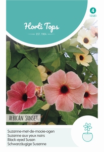 Thunbergia African Sunset (Suzanne-met-de-mooie-Ogen)