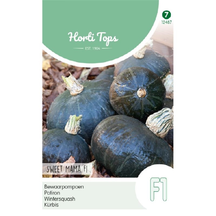 Pompoen Sweet mama F1  Hybride ( v.h. Nutty Delica)