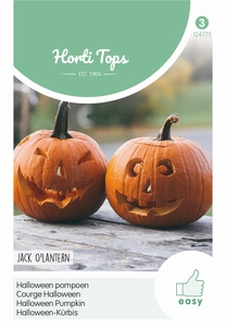 Pompoenen Jack O'Lantern (Halloween Pompoen)   (pompoenachtige)
