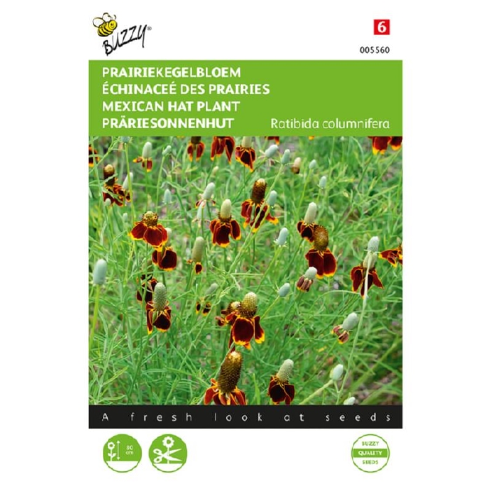 Ratibida columnifera - Prairiekegelbloem   -  NIEUW