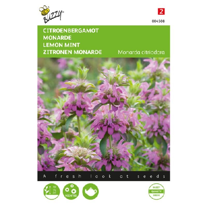 Monarda, Citroenbergamot - Monarda citriodora  -  NIEUW