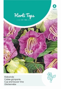 Cobaea scandens, Klokwinde blauw