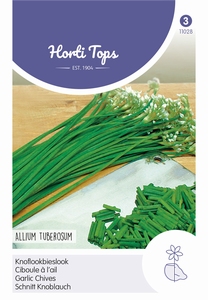 Knoflookbieslook - Chinese Bieslook