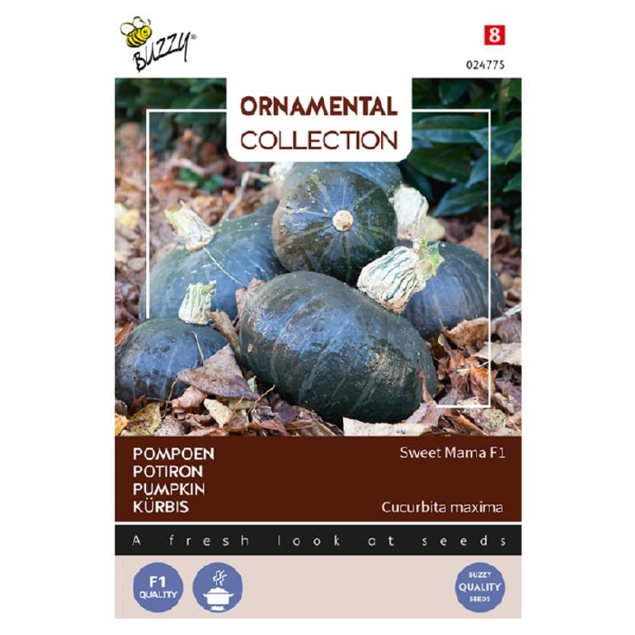 Curcubita Sweet Mama F1  Hybride ( vh Nutty Delica) Pompoen