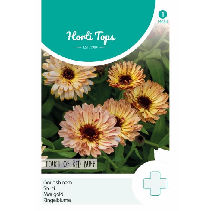 Calendula, Goudsbloem, Touch of Red Buff 50-60cm  - NIEUW