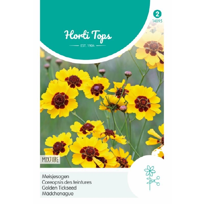 Coreopsis tinctoria, Meisjesogen, half-hoog  - NIEUW