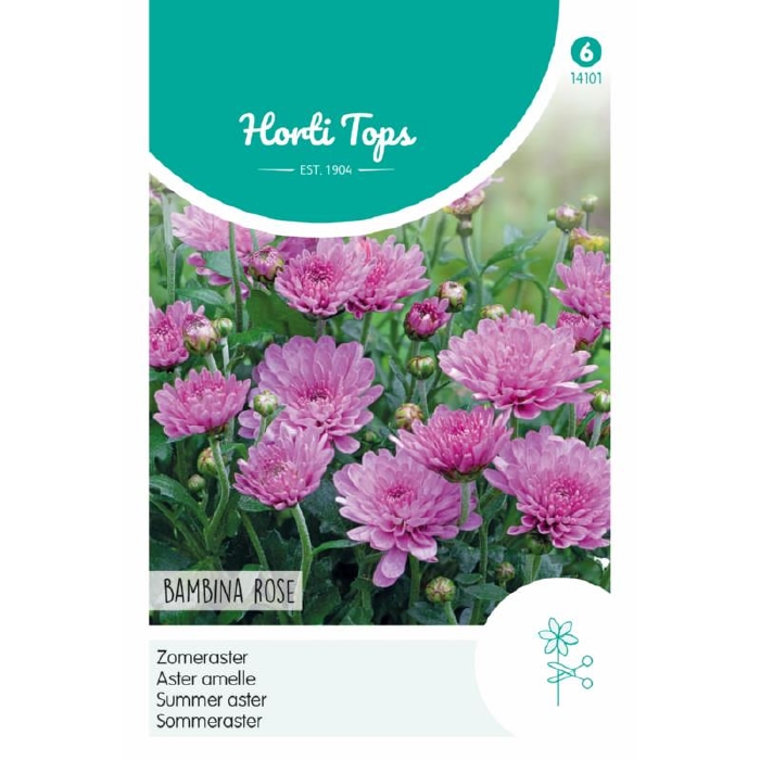 Callistephus, Aster Bambina Rose 30cm  - NIEUW