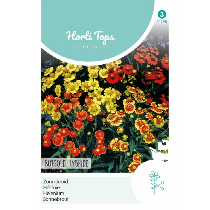 Helenium, Zonnekruid, Rotgold Hybride   - NIEUW