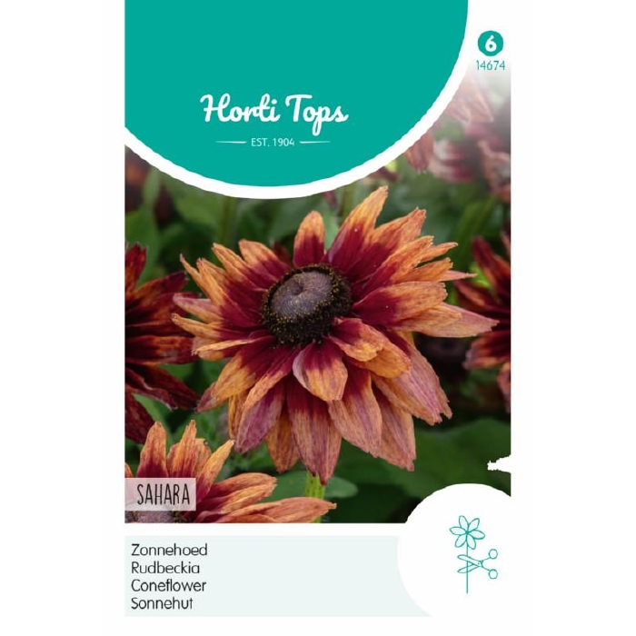 Rudbeckia, Zonnehoed Sahara   - NIEUW