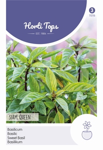 Basilicum Siam Queen, Thaise basilicum