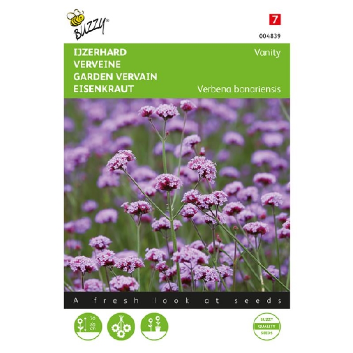 Verbena bonariensis Vanity  - NIEUW