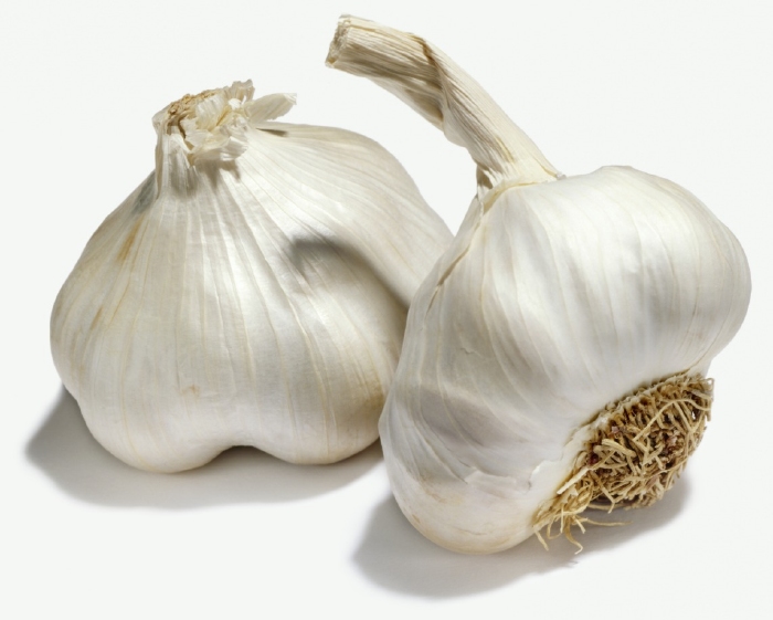 Plant Knoflook - Blanke Reuzen, wit - per 12 stuks