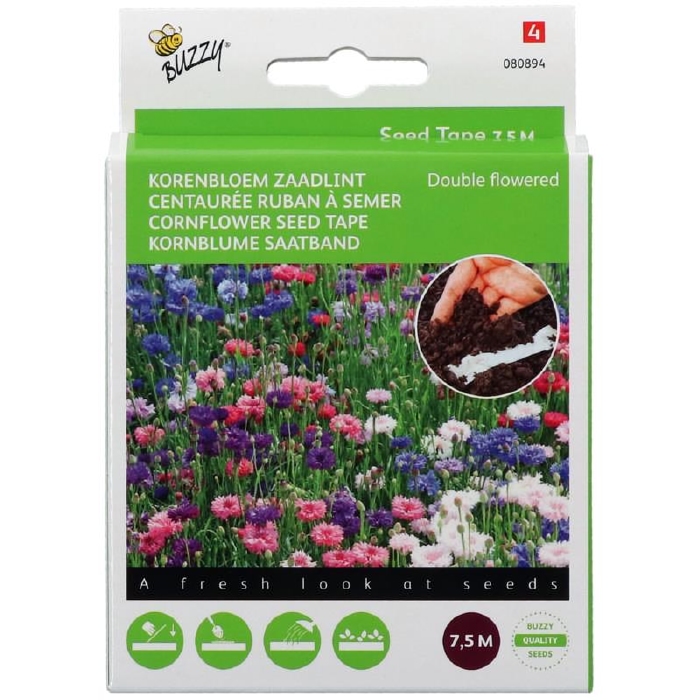 Zaaiband Korenbloemen  op zaadlint- zaaiband NIEUW
