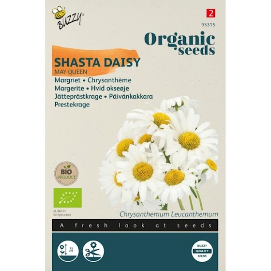 Bio Organic Chrysanthemum May Queen - Margriet