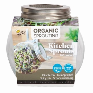 Kiemgroente glazen kweekpot Organic Sprout pot Salade Pikant  (BIO)