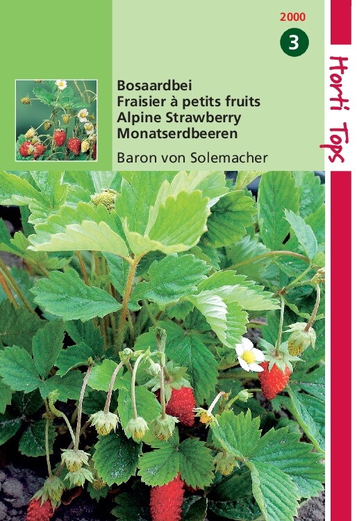 Aardbeien  - Baron Van Solemacher  Bosaardbei