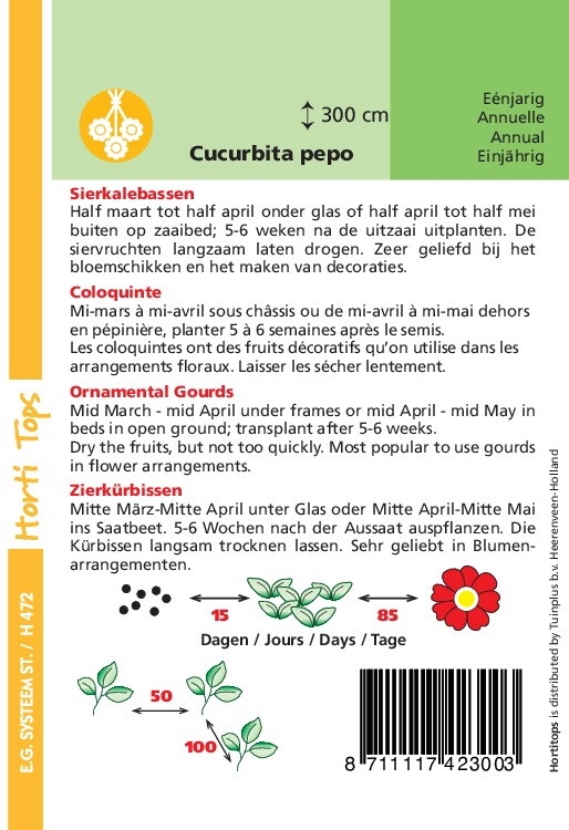 Cucurbita pepo, Sierkalebas klein mixed (pompoenachtige)