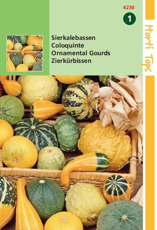 Cucurbita pepo, Sierkalebas klein mixed (pompoenachtige)