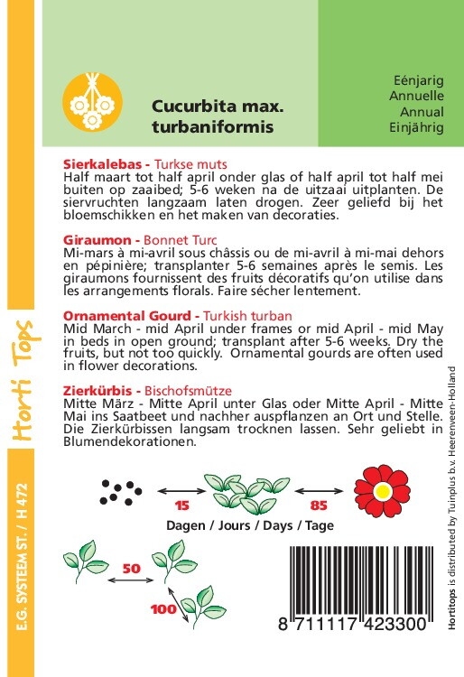 Cucurbita Turbani.Turkse Muts  (pompoenachtige)