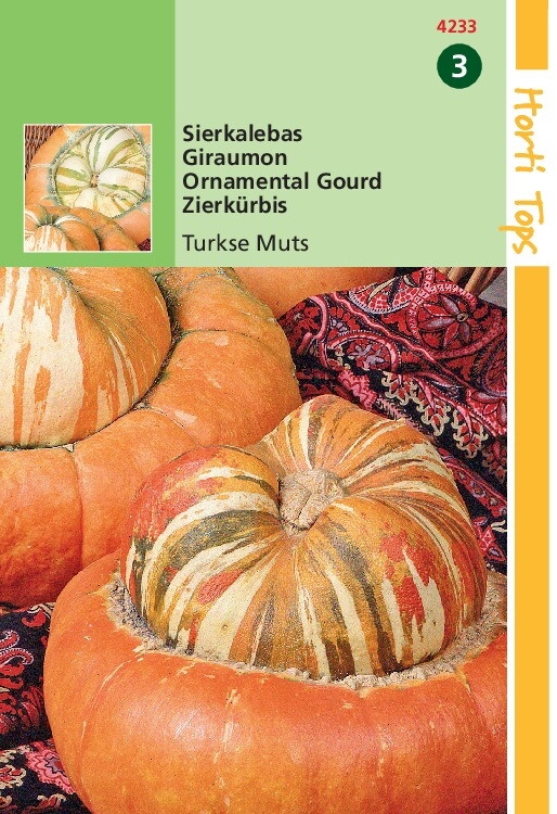 Cucurbita Turbani.Turkse Muts  (pompoenachtige)