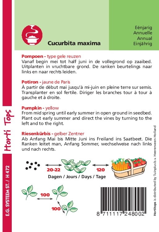 Pompoen  Geelvlezige (Centenaars)    (pompoenachtige)