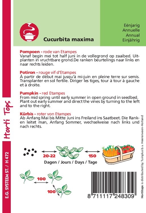 Pompoen Rode van Etampes - Rouge vif d' Etampes  (pompoenachtige)