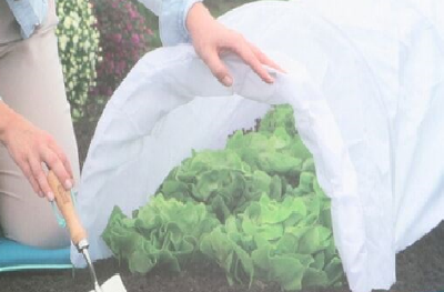 Vliesdoek 15 x 1,60 mtr  Biologisch wonderdoek 17grams