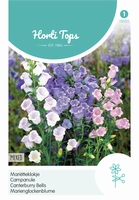 Campanula Medium Enkelbloemig Gemengd