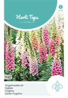 Digitalis Purpurea Gemengd
