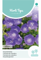 Campanula Carpatica Blauw