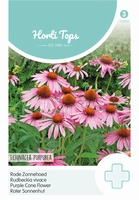 Echinacea (Rudbeckia) Purpurea
