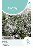 Gypsophila Panic. Enkelbl. Wit