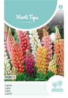 Lupinus Polyph. Russell'S Minarette Gem.