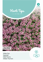 Thymus Serpyllum Purperrood