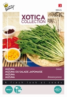 Mizuna Japanse Salade -  Xiu Cai - Green