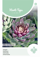 Artisjok Violet De Provence