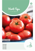 Tomaten Moneymaker